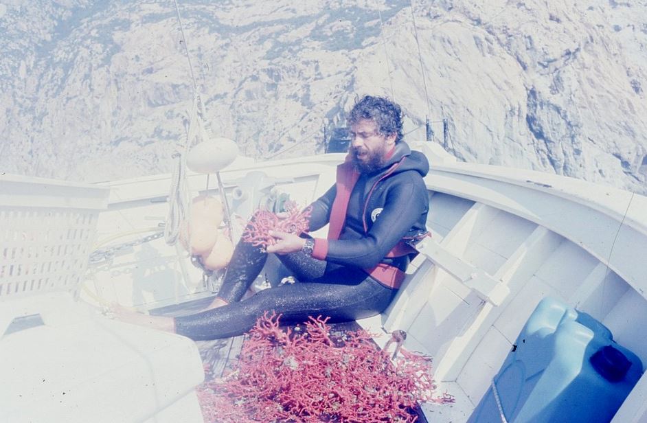 CORALLIUM RUBRUM, la fièvre rouge CORALLIUM RUBRUM, la fièvre rouge