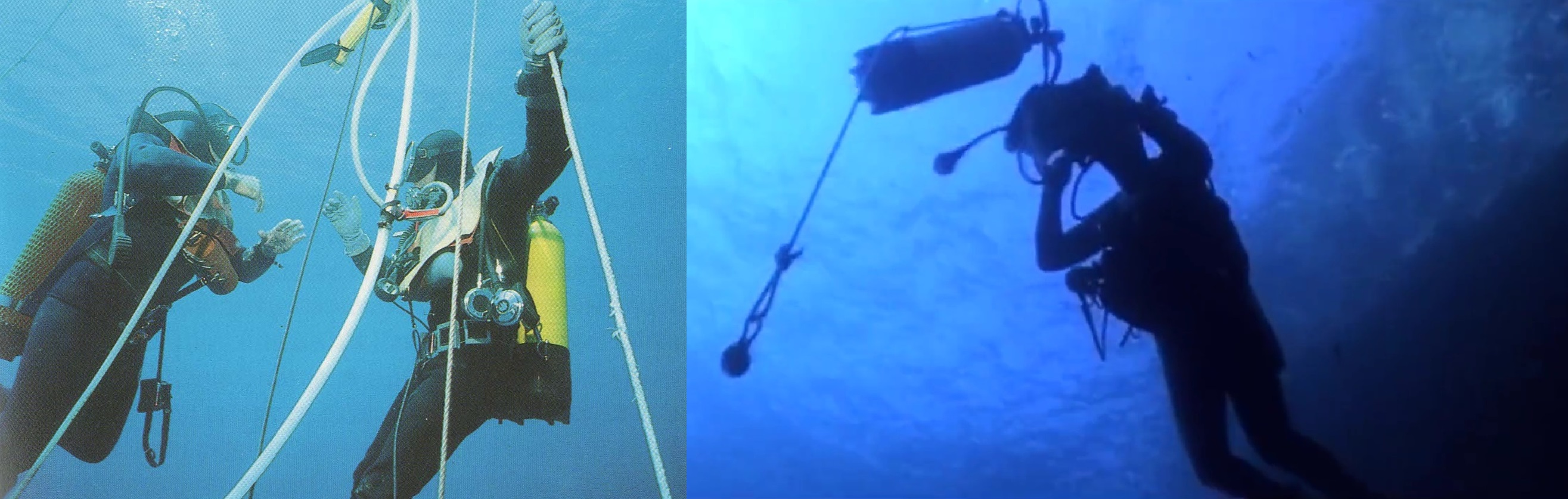 CORALLIUM RUBRUM, la fièvre rouge CORALLIUM RUBRUM, la fièvre rouge